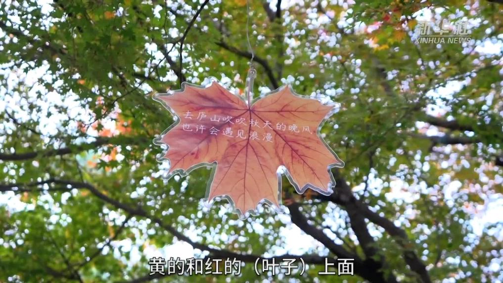 江西庐山开启金秋赏枫季