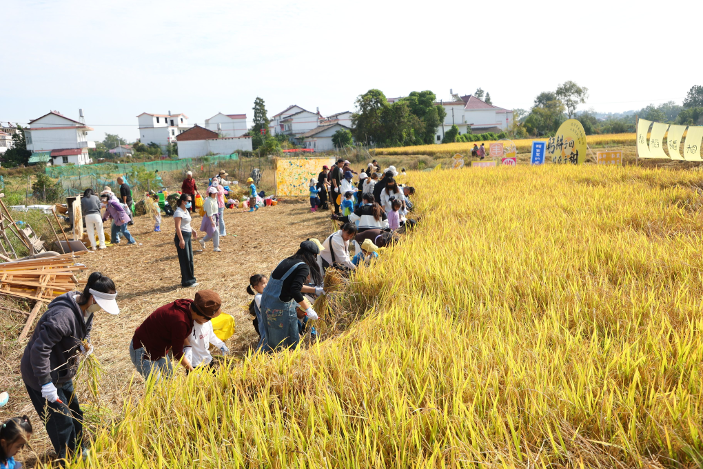 江西鹰潭：田间课堂让农耕文化“活”起来