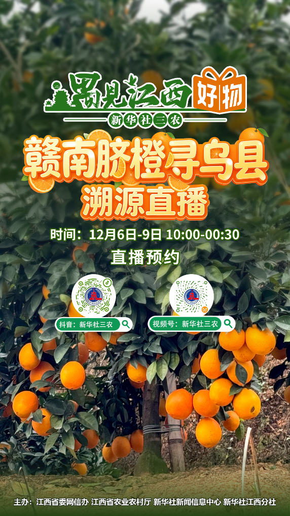 “遇见江西好物”再续橙香：12月6日寻乌脐橙专场直播开启